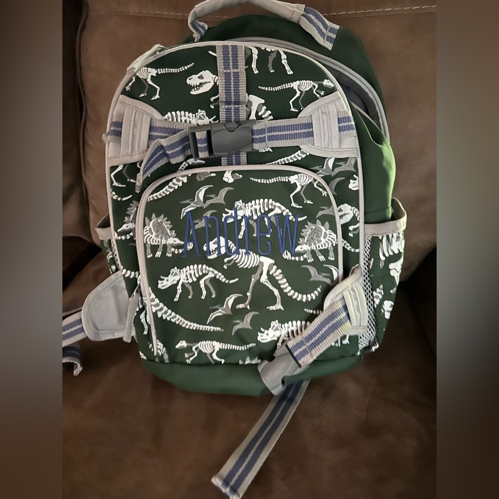 Pottery Barn Mackenzie Dino Bones Glow In Dark Backpack & Lunchbox Combo